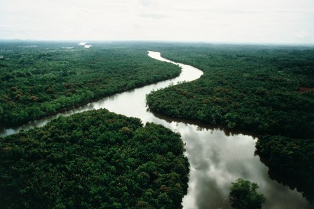 Borneo