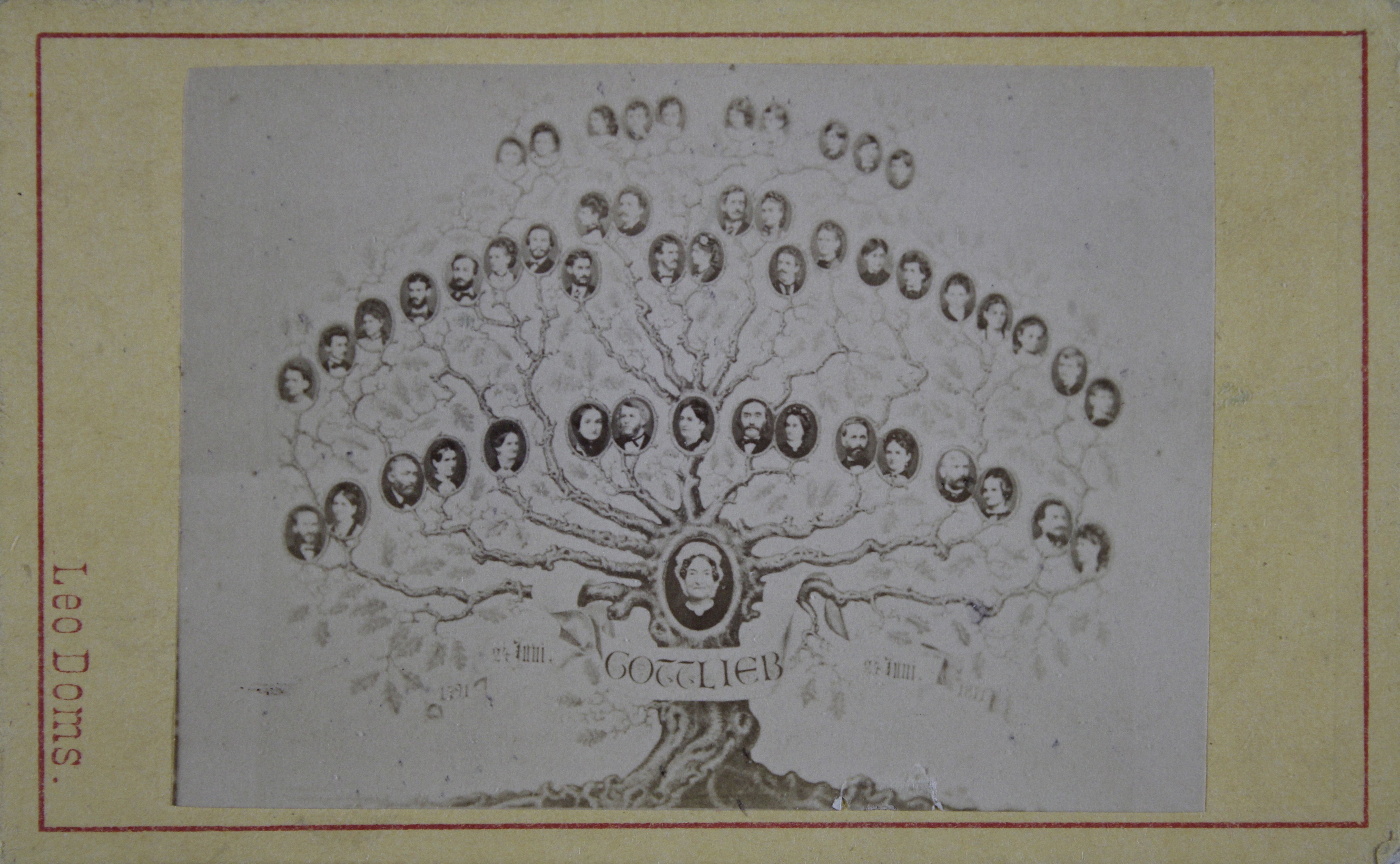family tree