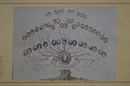 family tree