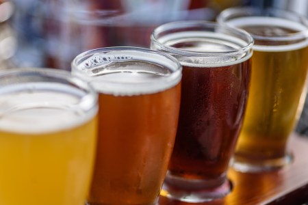 Alcohol harms