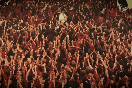 Wild Wild Country