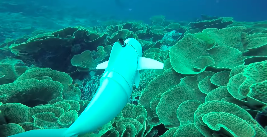 MIT's robotic fish, SoFi. (MITCSAIL)