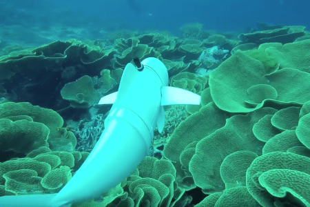 MIT's robotic fish, SoFi. (MITCSAIL)