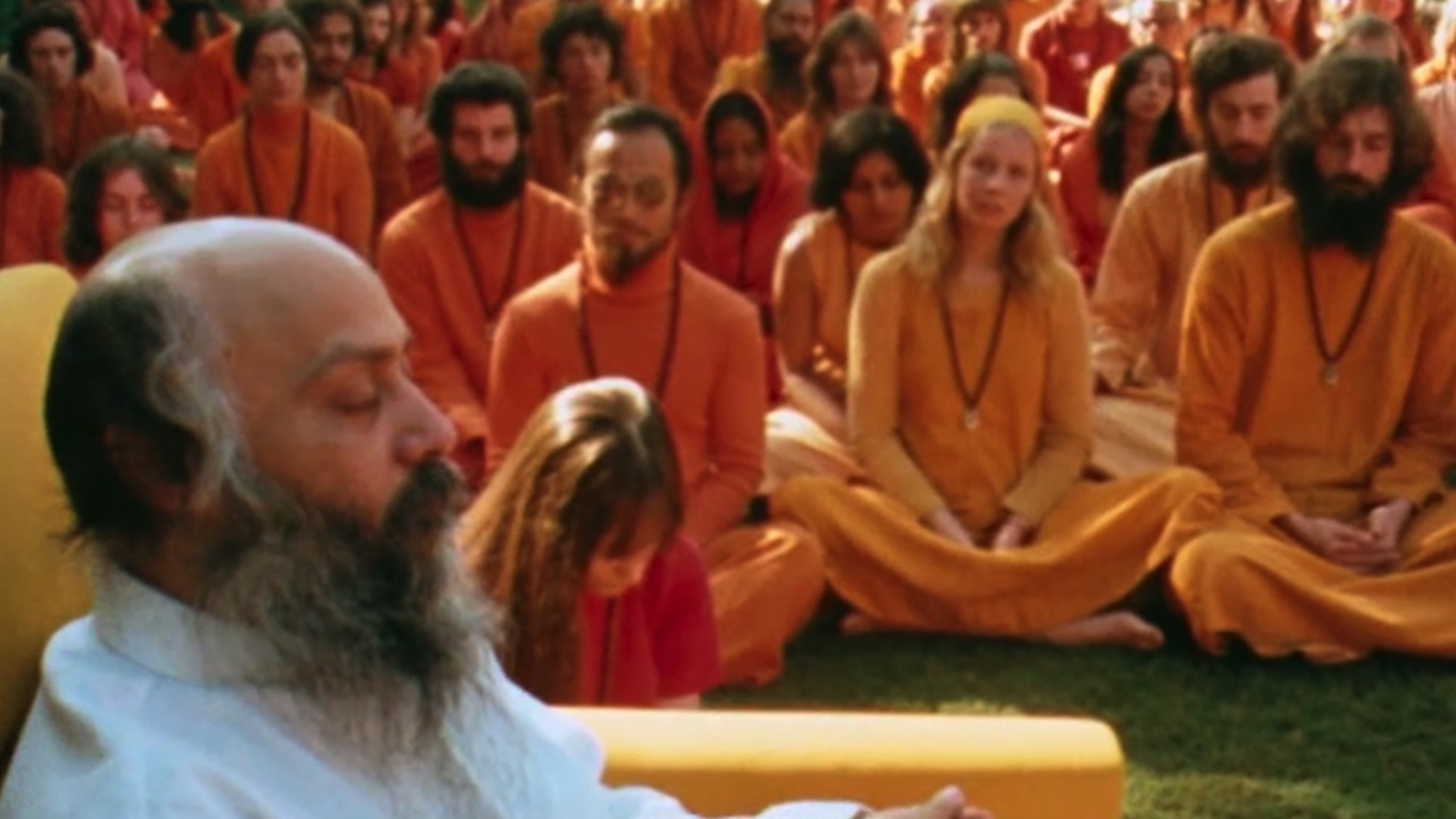 What to Watch: A Cult Documentary and Tribeca Shortlist
