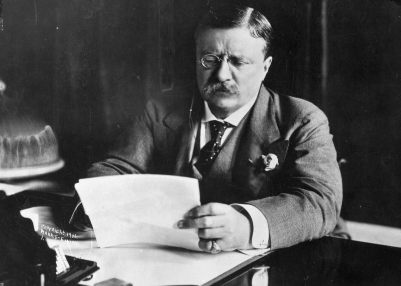 teddy roosevelt