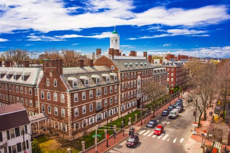 harvard