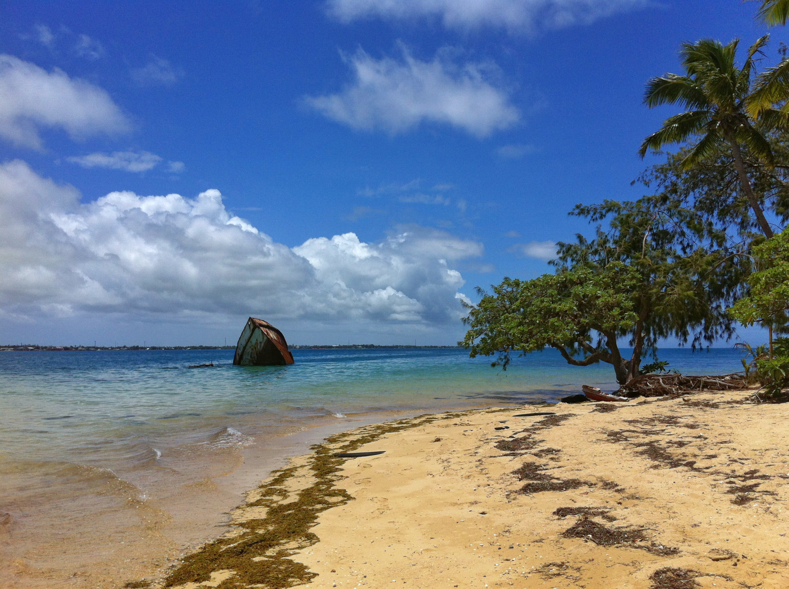 Photo Taken In Tonga, Nukualofa