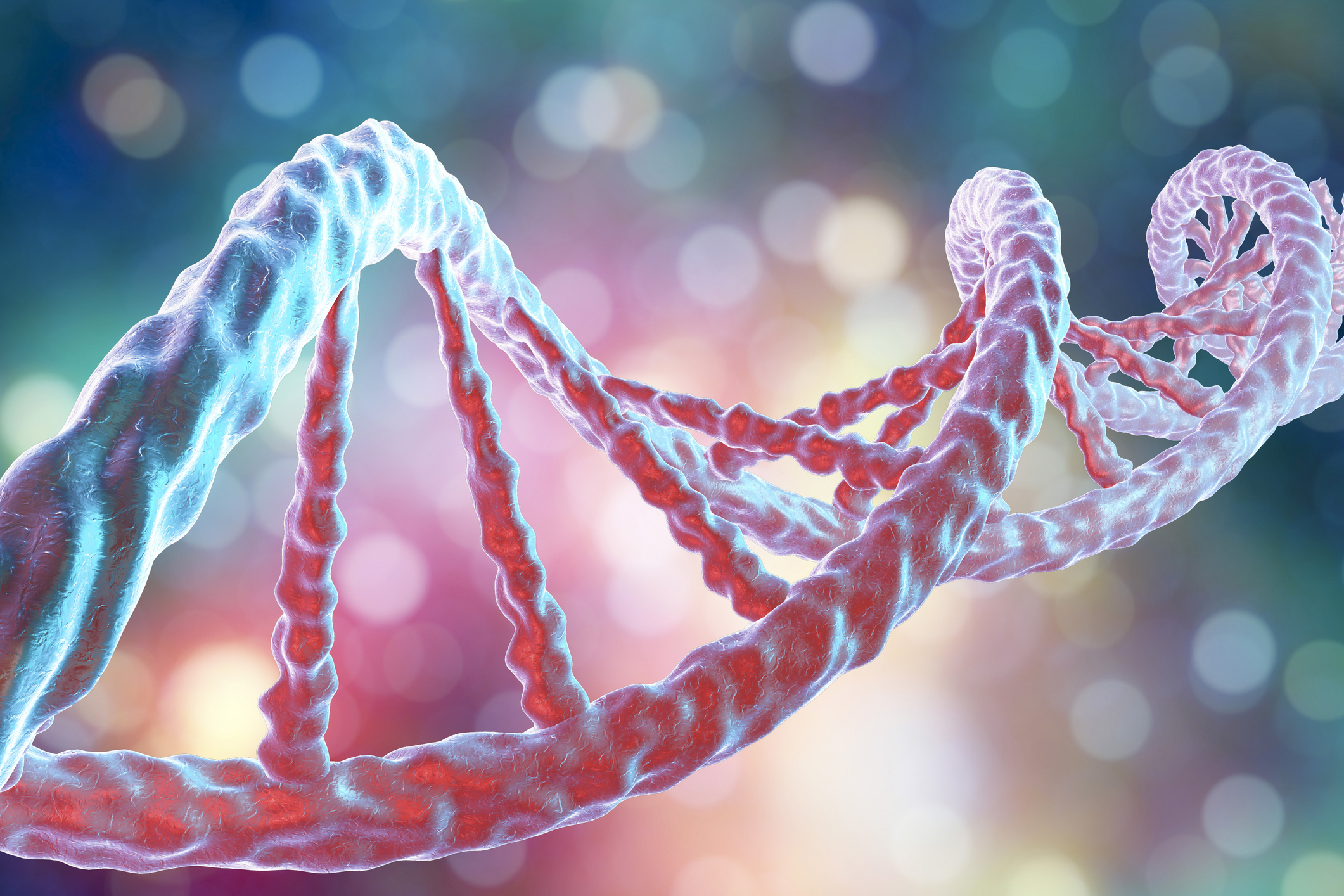 DNA