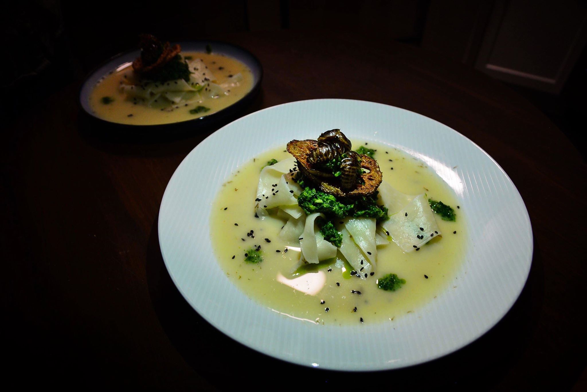 La Cucaracha Noodle Soup in Dubia-Pesto Broth, prepared in New York by Chef Don Peavy (Diana Crandall)