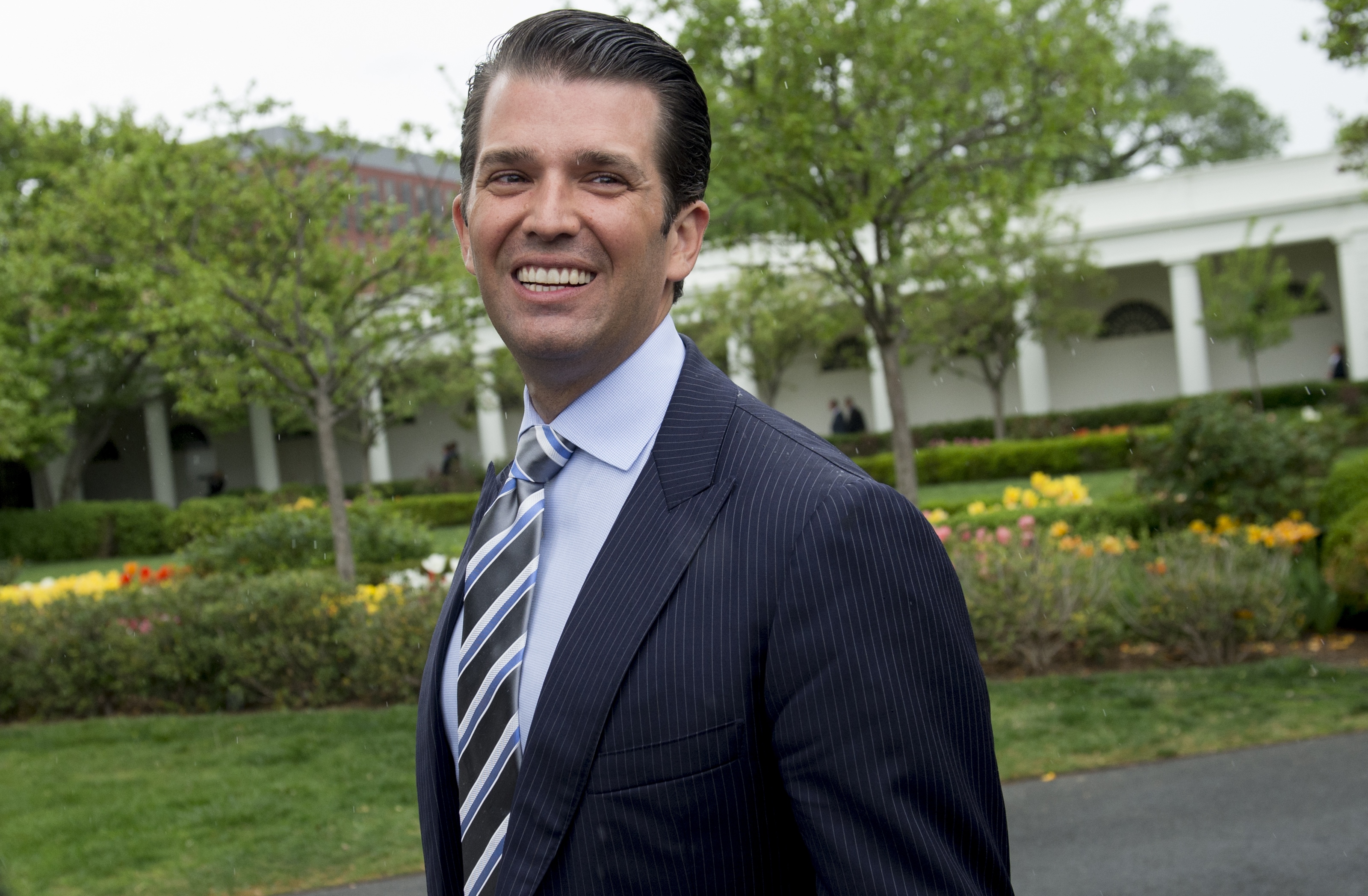 donald trump jr.