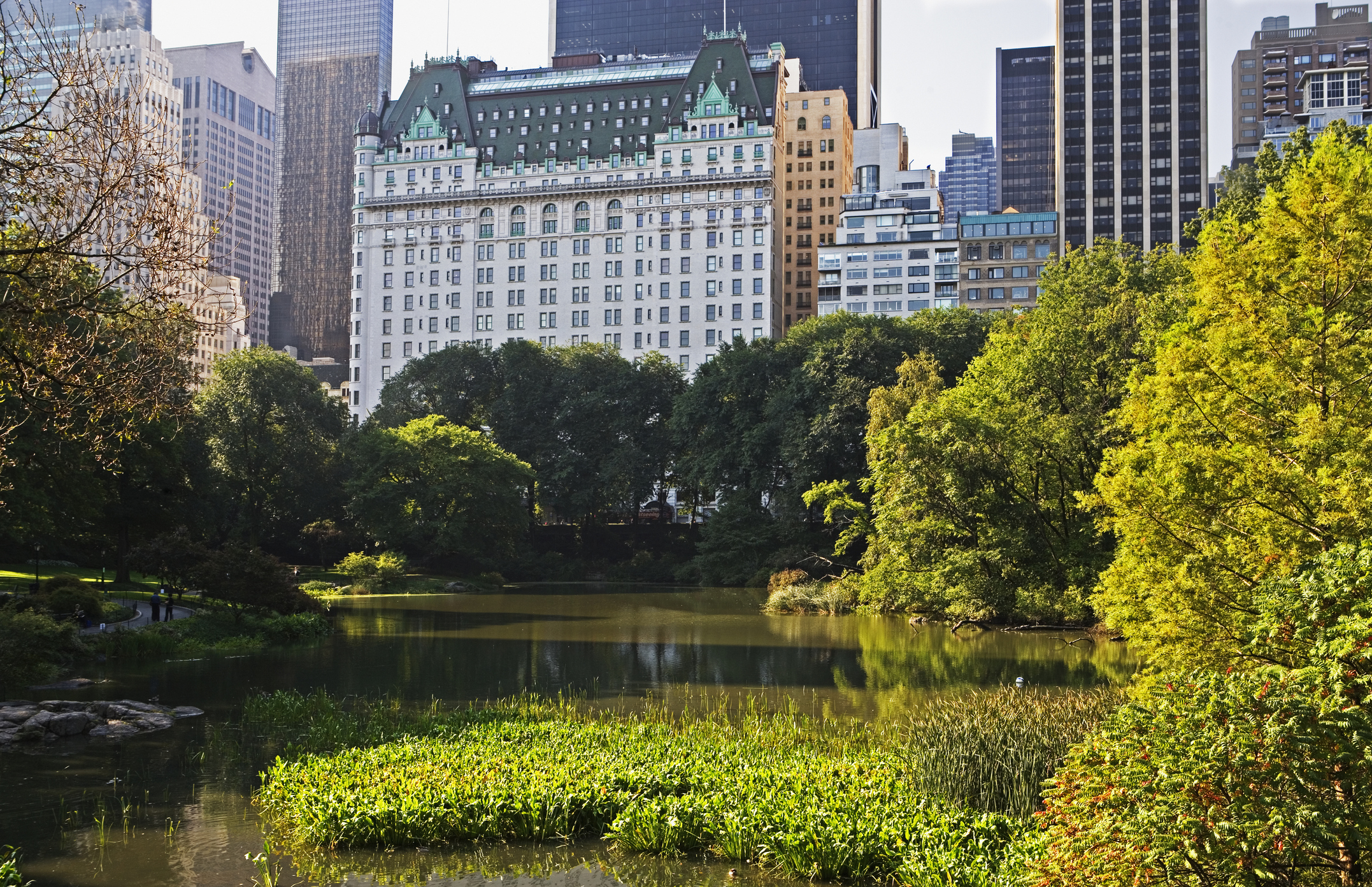 Plaza hotel