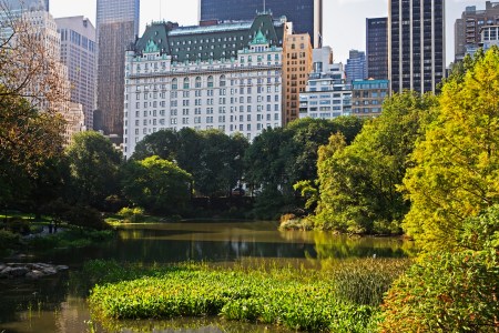 Plaza hotel
