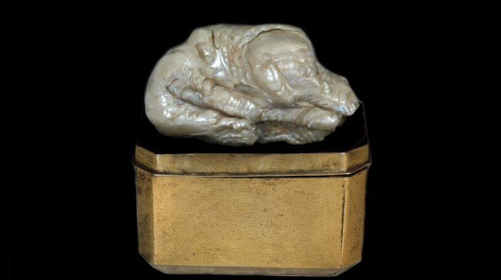 World's largest freshwater pearl (Venduehuis auction house)