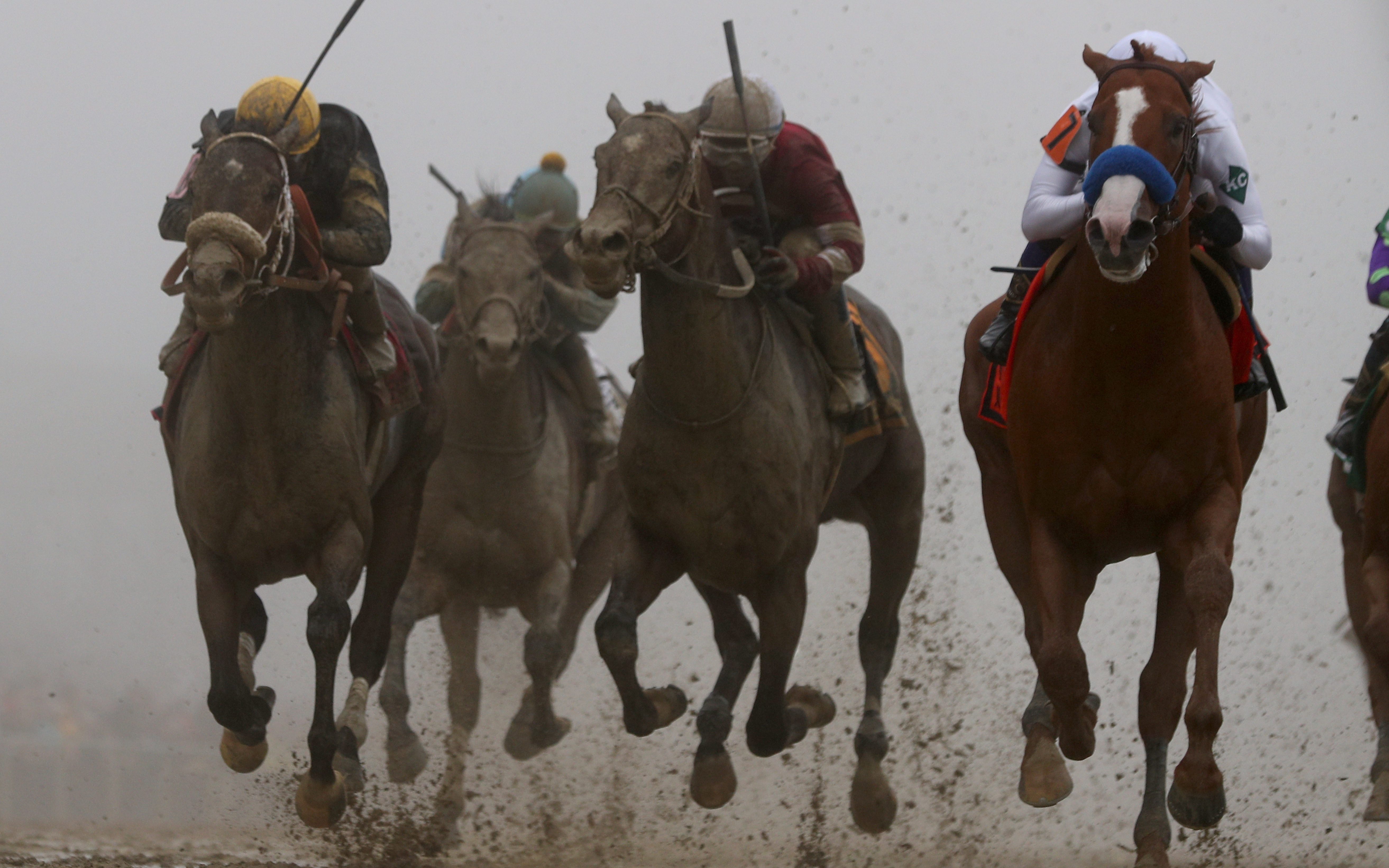 Justify- Preakness