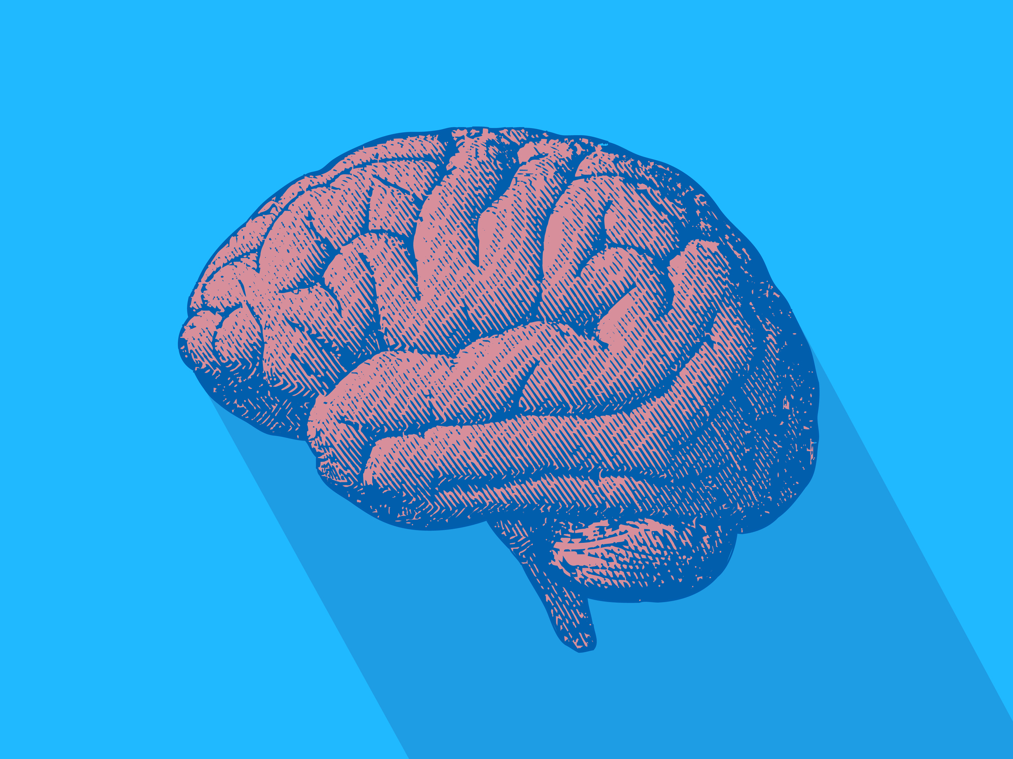brain