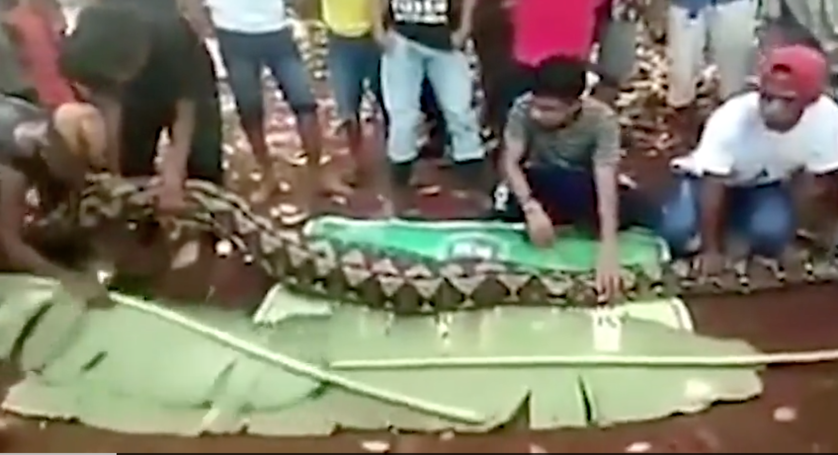 python