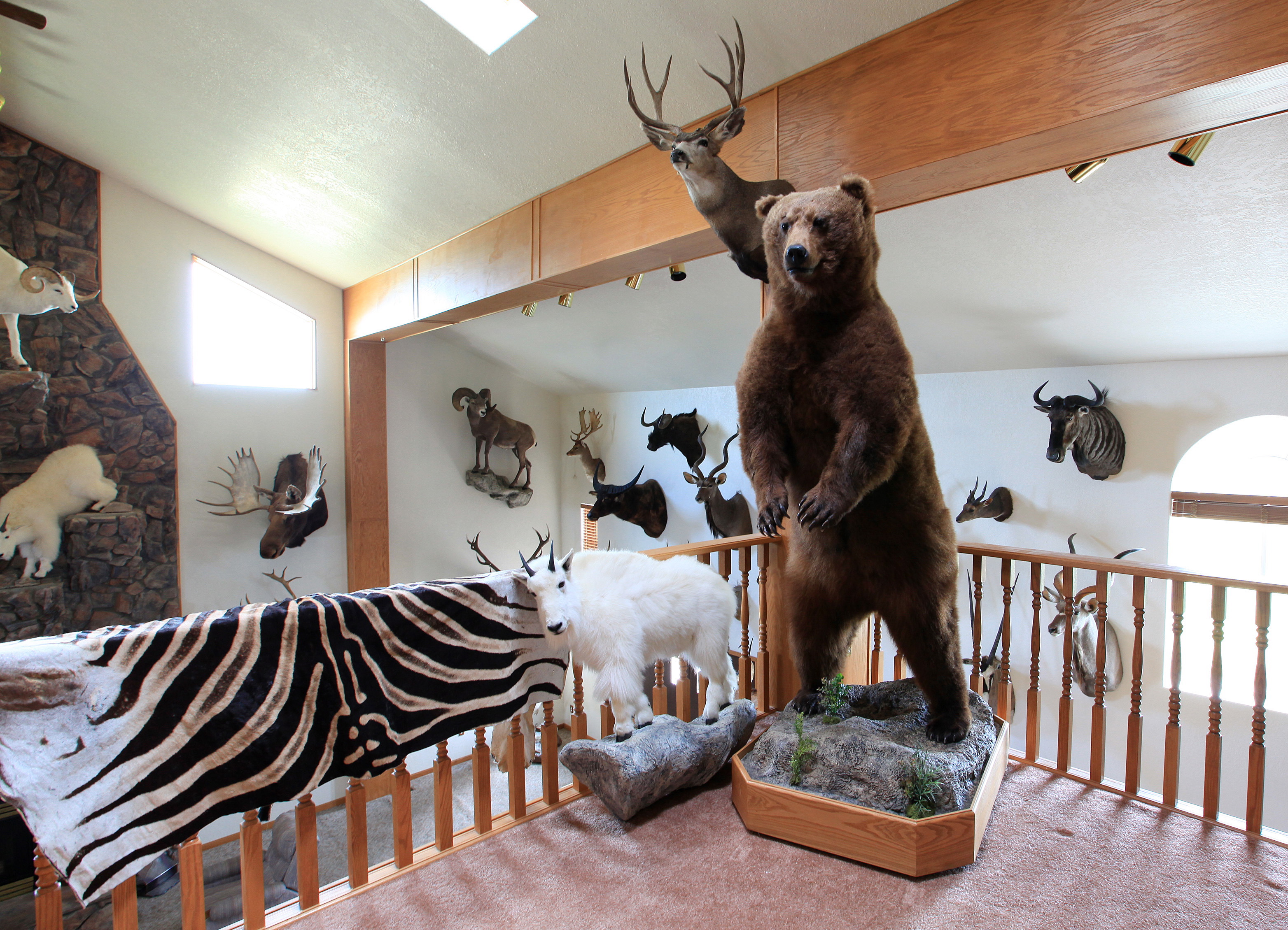 trophy hunting