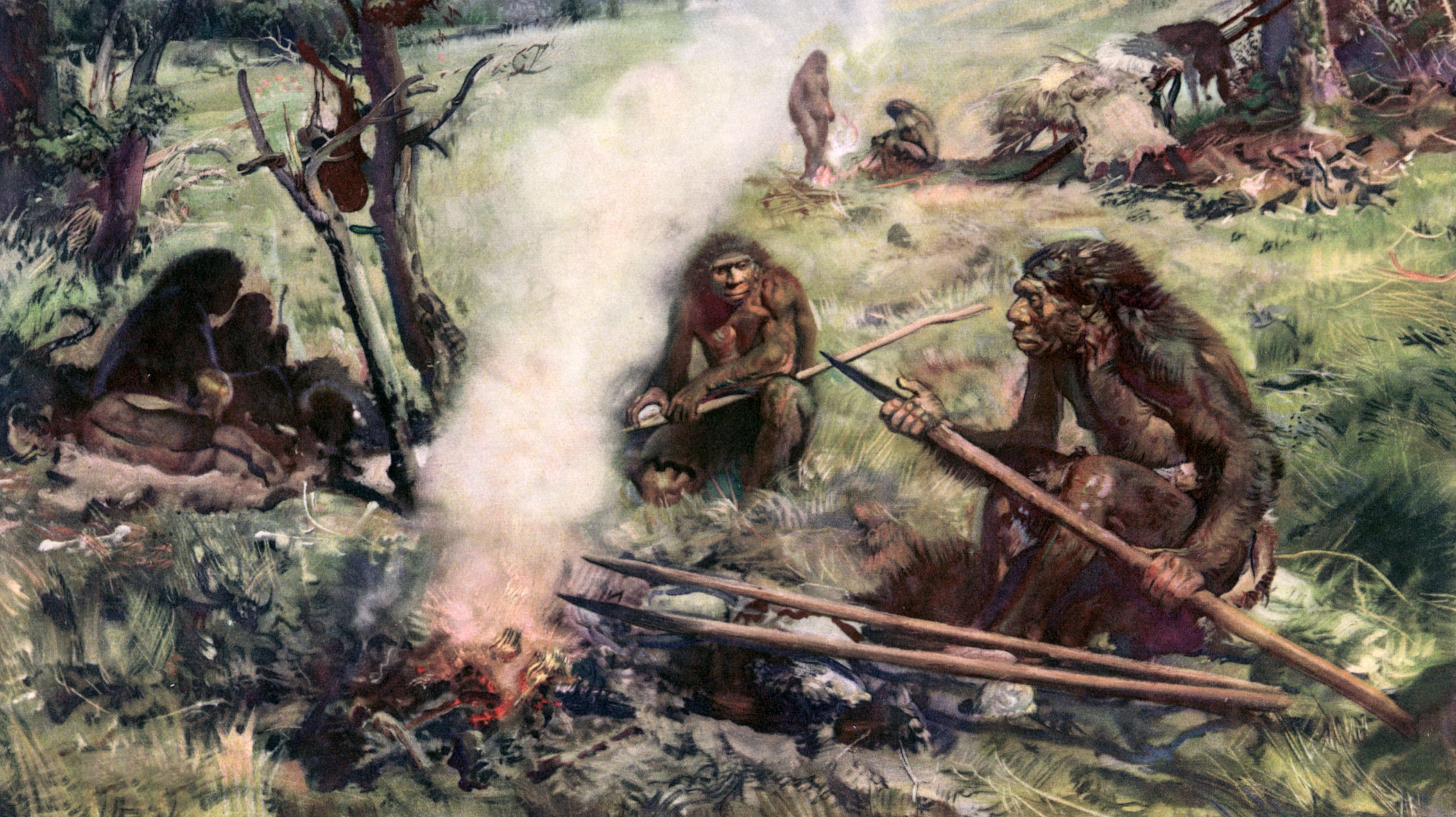 neanderthal
