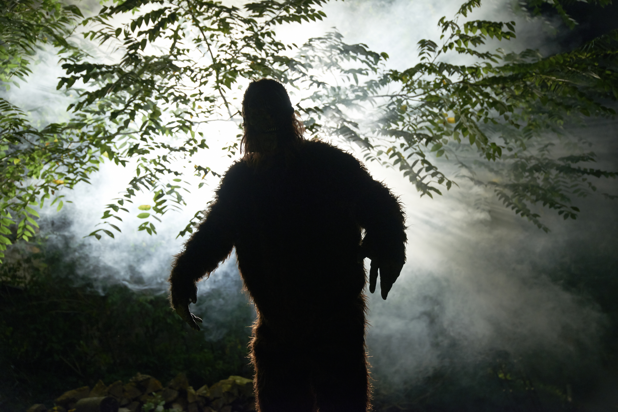 Bigfoot