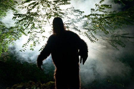 Bigfoot