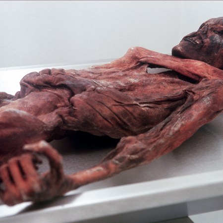 otzi the iceman