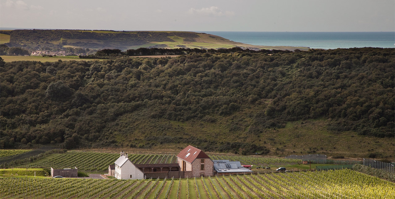 Rathfinny Wine Estate  (Rathfinny Wine Estate)