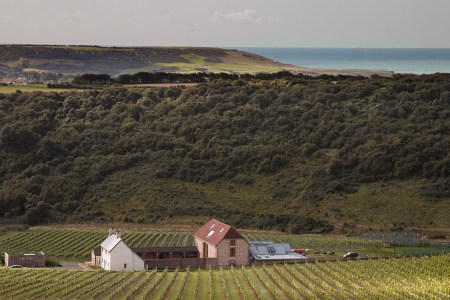 Rathfinny Wine Estate  (Rathfinny Wine Estate)
