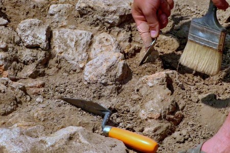 Archeological tools, Archeologist working on site, hand and tool.