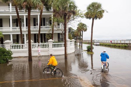 sea levels