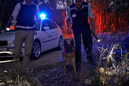 A depiction of police officers conducting a search for missing persons (Getty) 