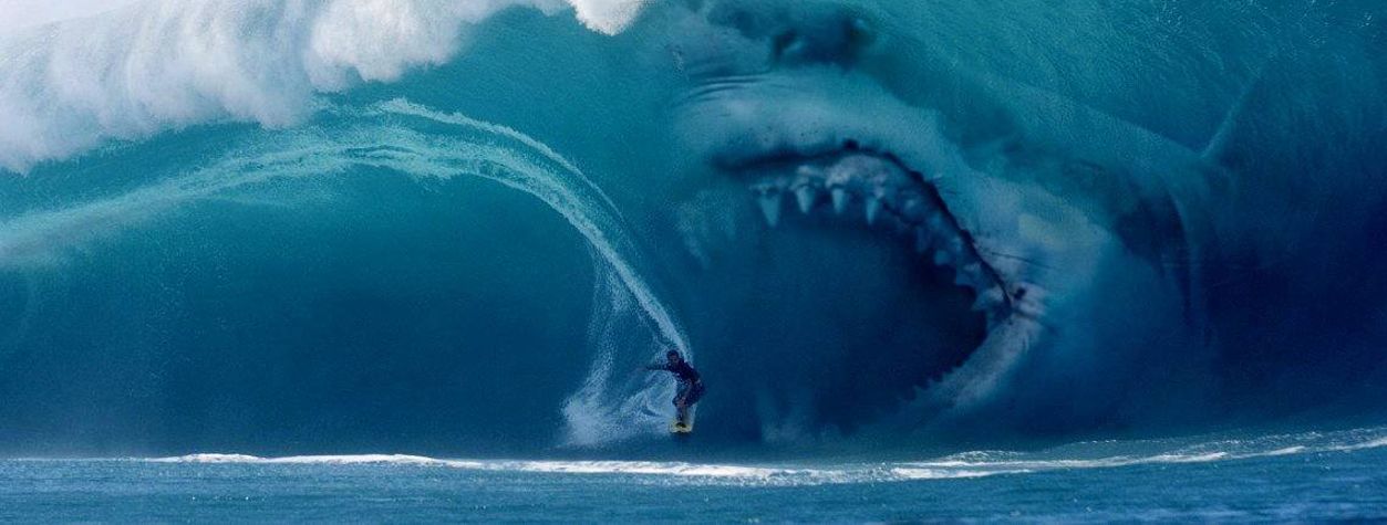 shark