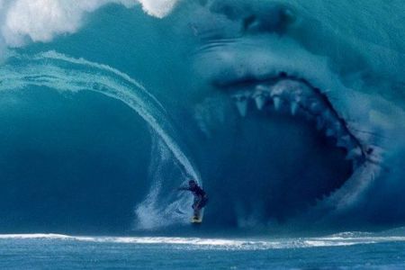 shark