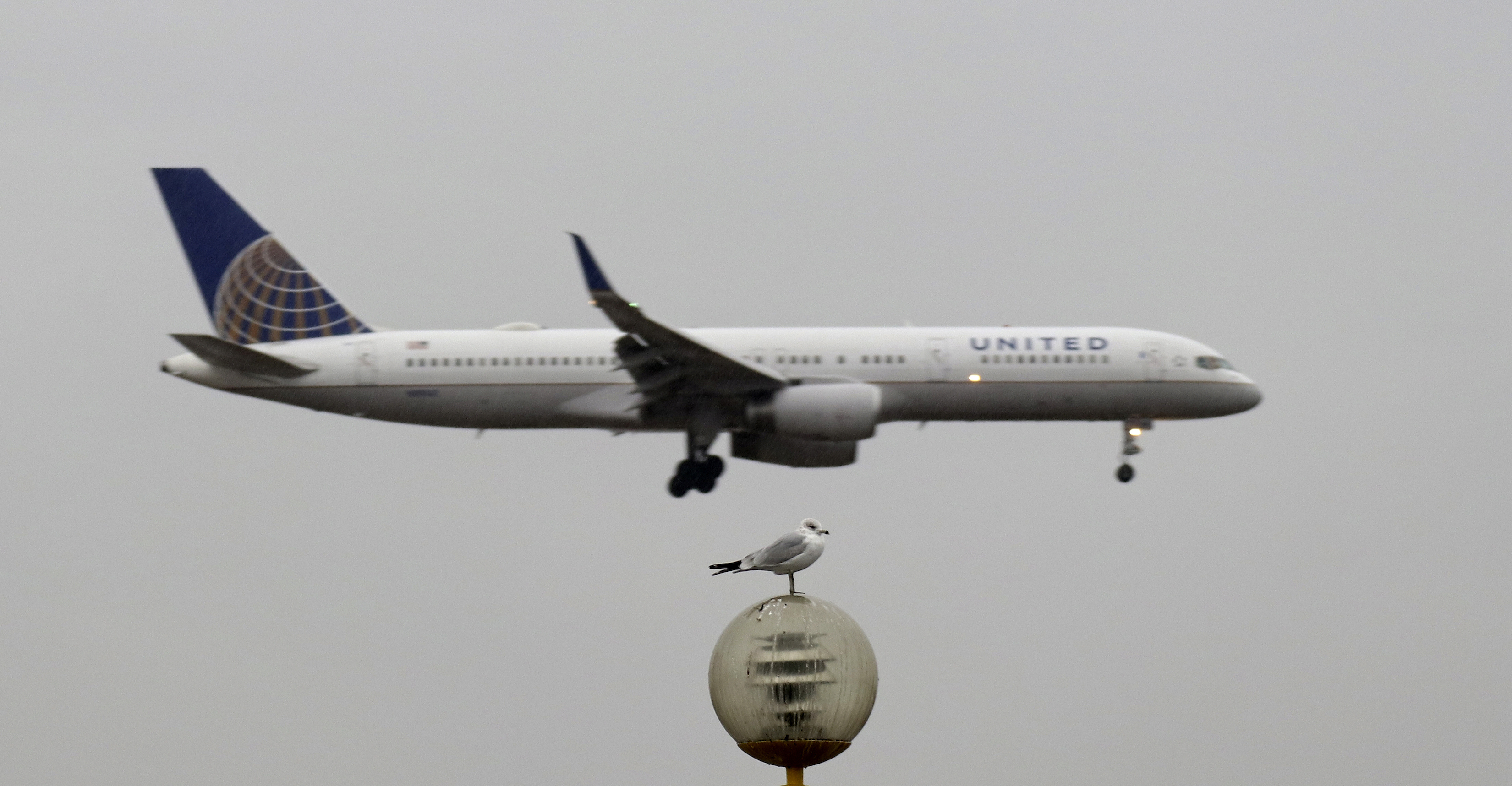 A United Airlines airplane makes its approach to Newark Liberty Aiprot on February 24, 2018 ias seen from Elizabeth, New Jersey. (Photo by Gary Hershorn/Getty Images)