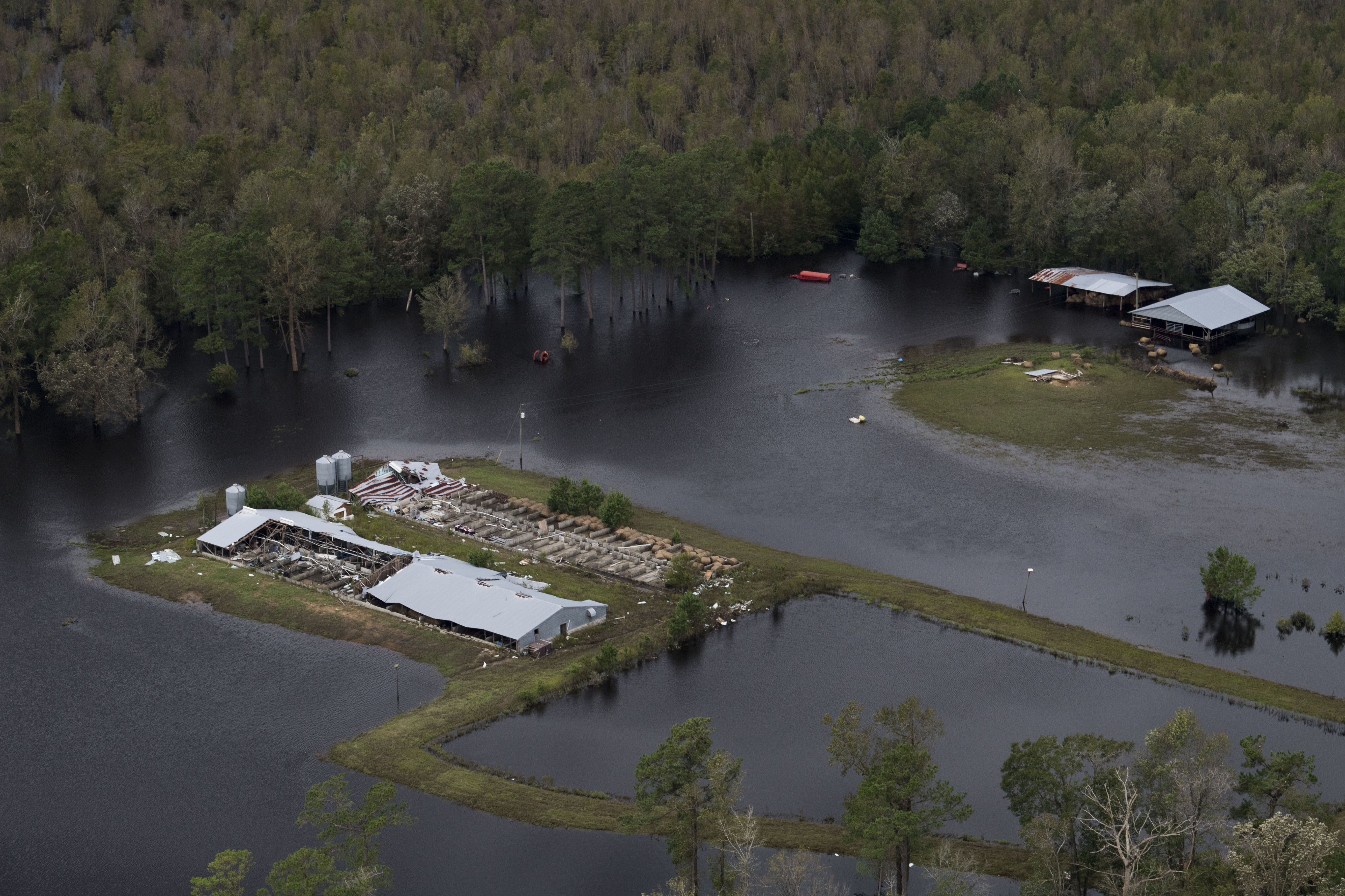 hurricane florence