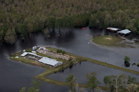 hurricane florence