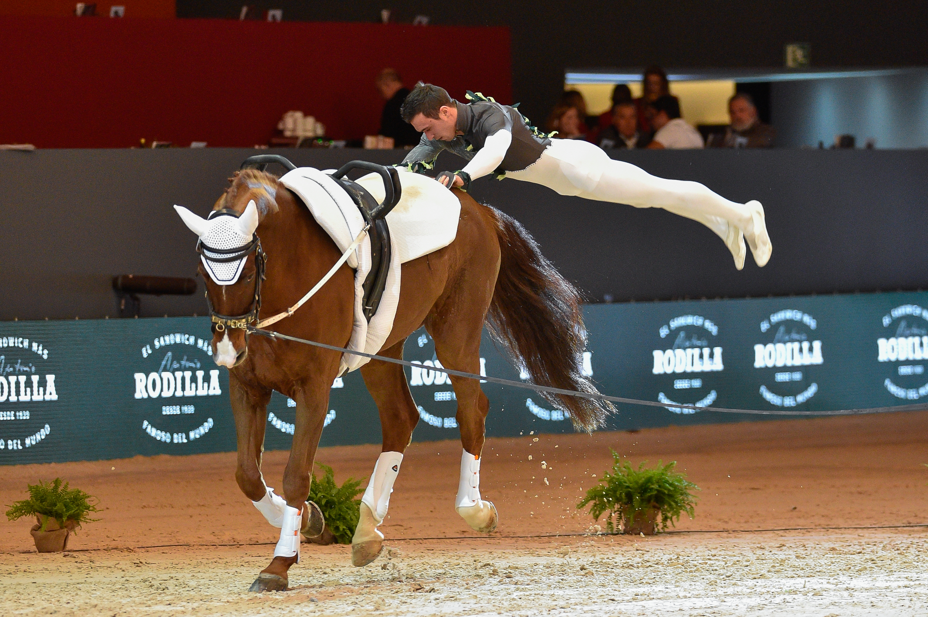 vaulting