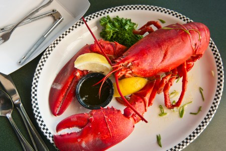 lobster