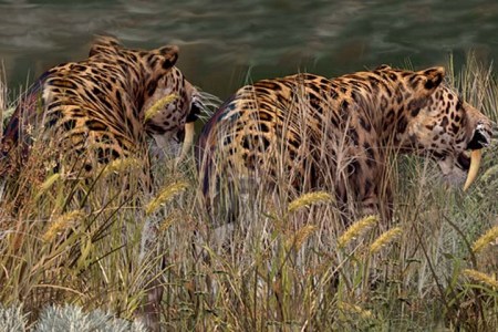 Sabre-Toothed Cat