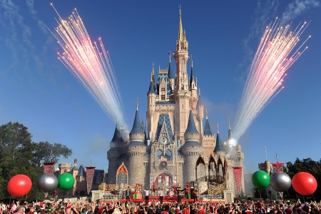 Disney ashes