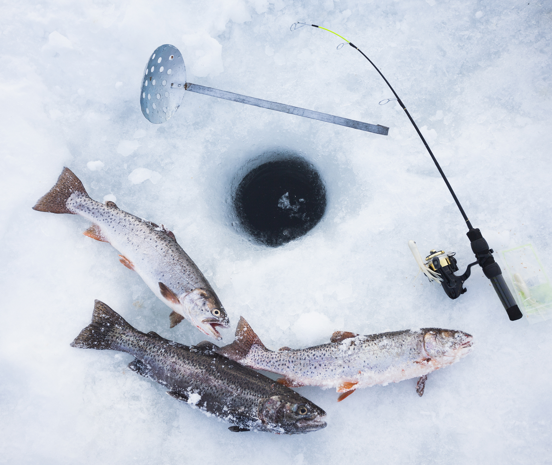 Ice fishing hole, fishing rods and trout. Stock photo. (Getty)