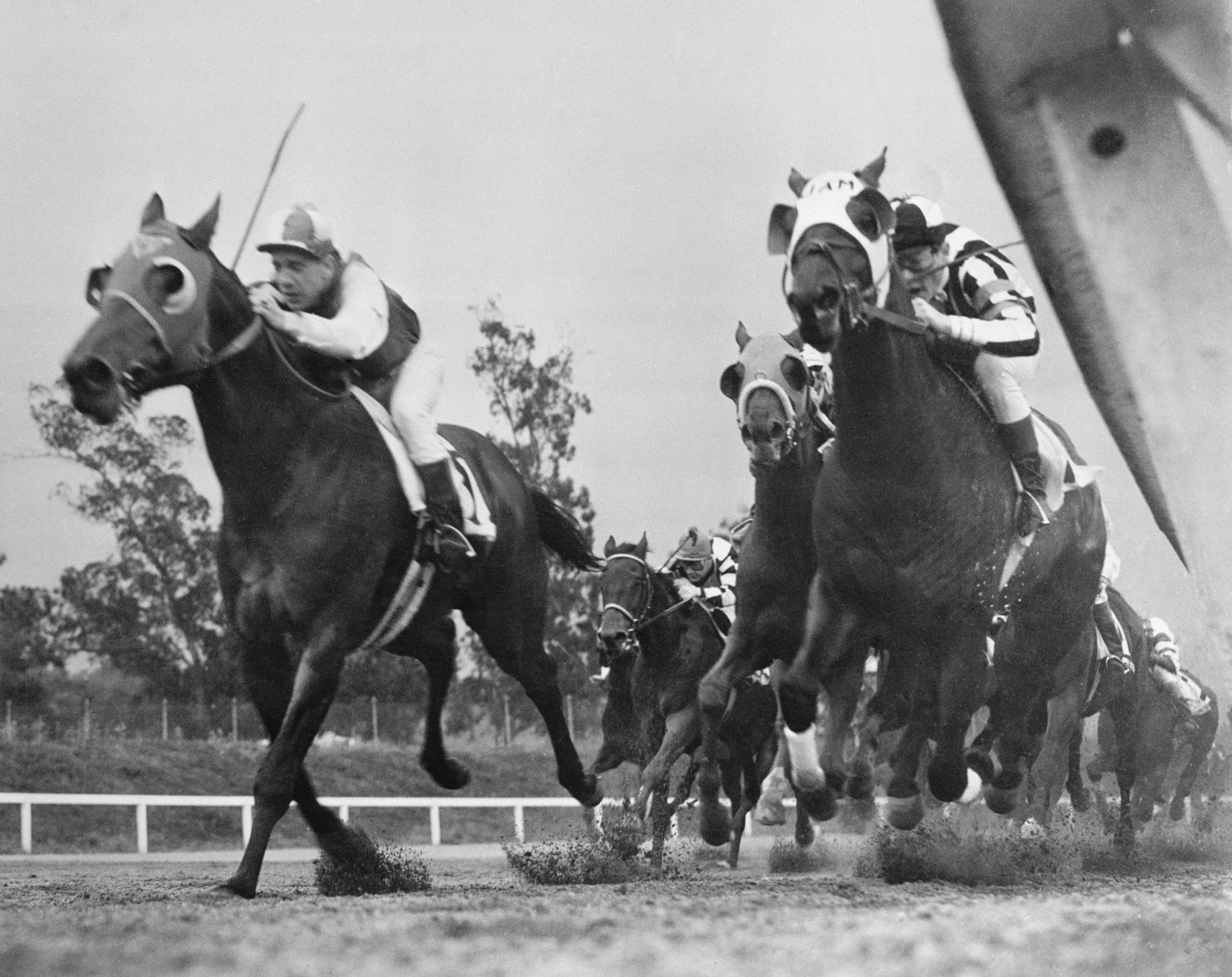 Seabiscuit