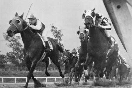 Seabiscuit