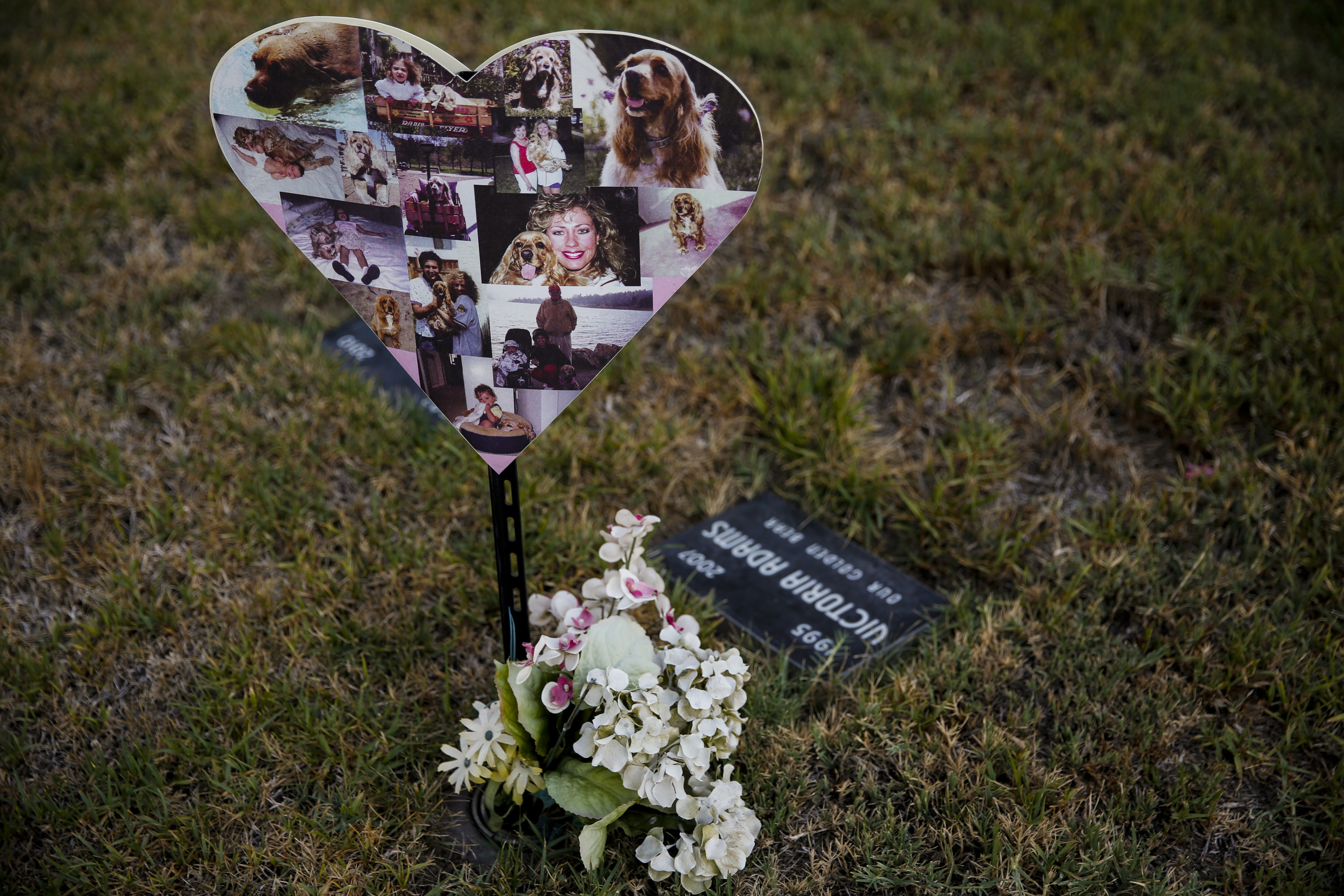pet cemetery