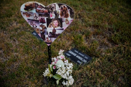 pet cemetery