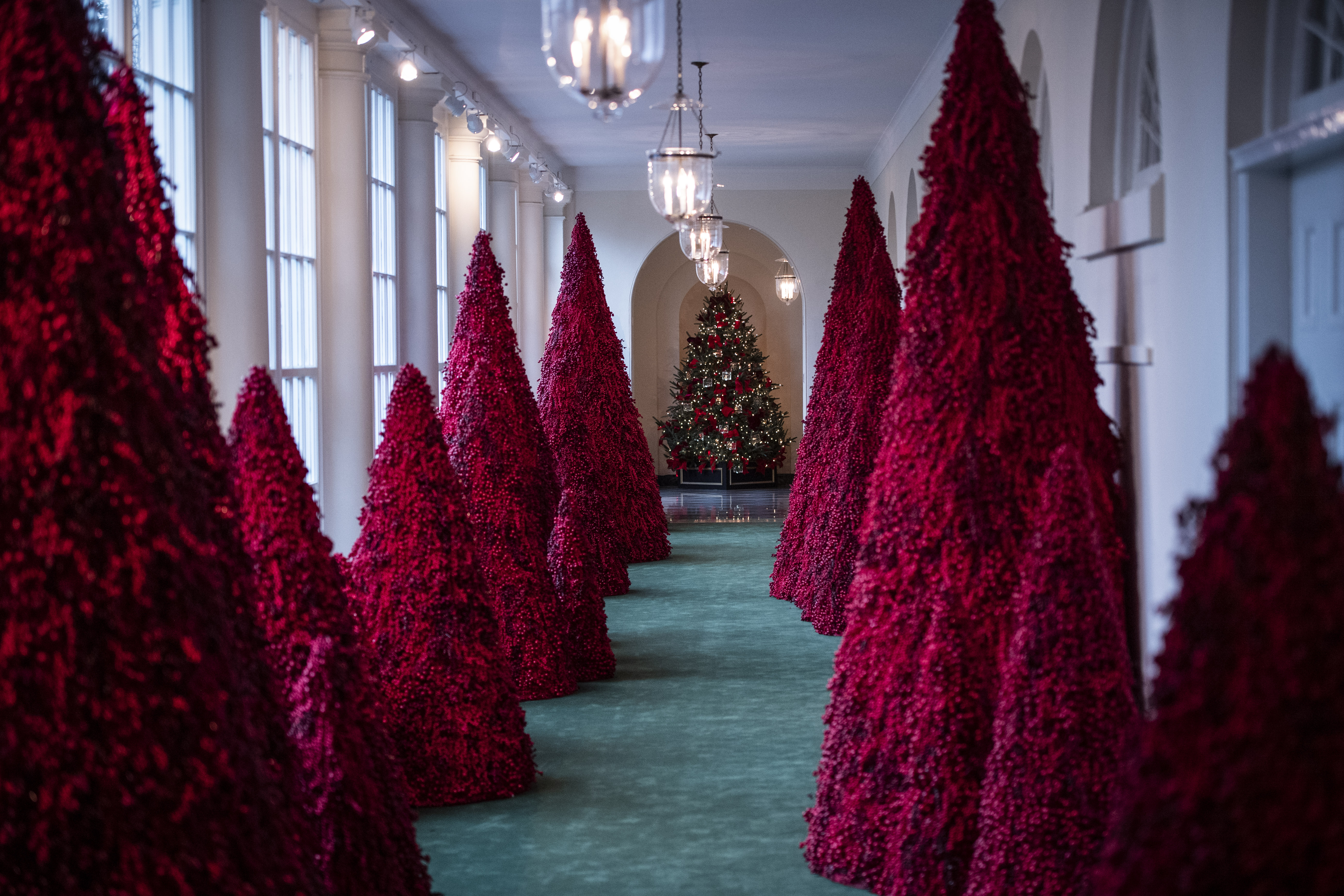 WH trees