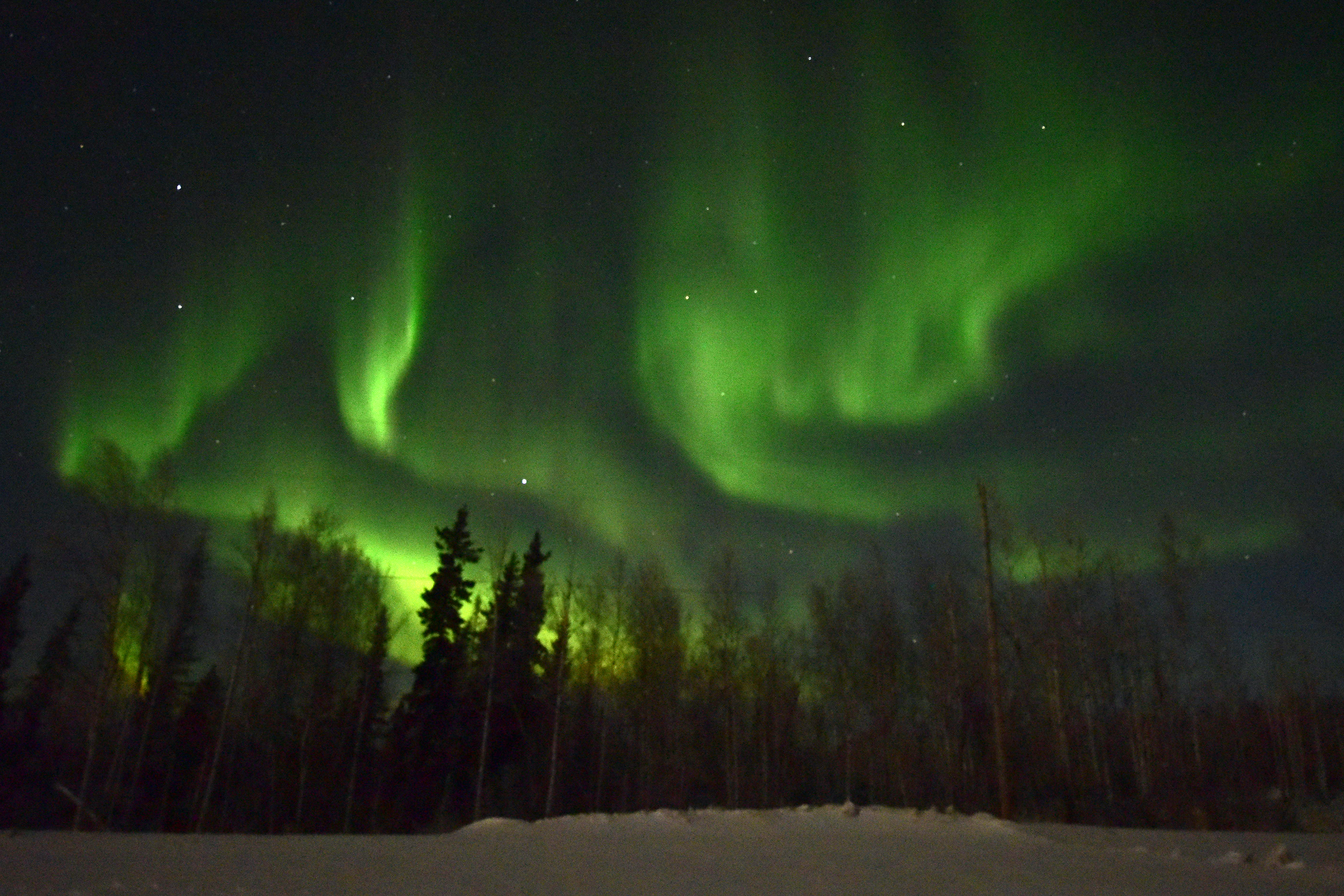 northern lights aurora
