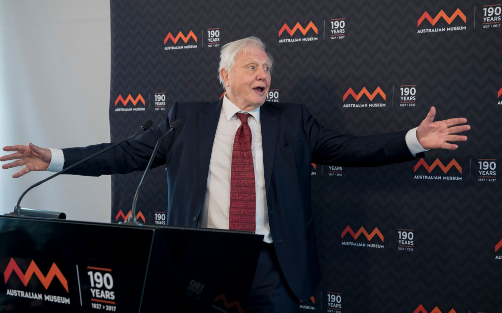 Sir David Attenborough to Voice New Netflix Nature Conservation Series