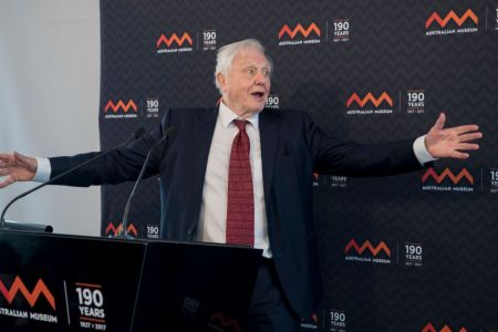 SYDNEY, AUSTRALIA - FEBRUARY 08:  Sir David Attenborough at the Australian Museum to receive a Lifetime Patron award at a special luncheon on February 8, 2017 in Sydney, Australia. Sir David was recognised for his lifetime's work in the fields of natural science and conservation. (Photo by James D. Morgan/Getty Images)