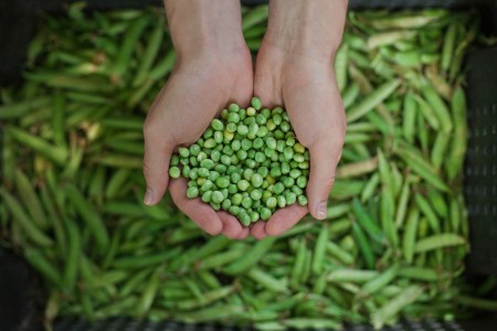 farmers