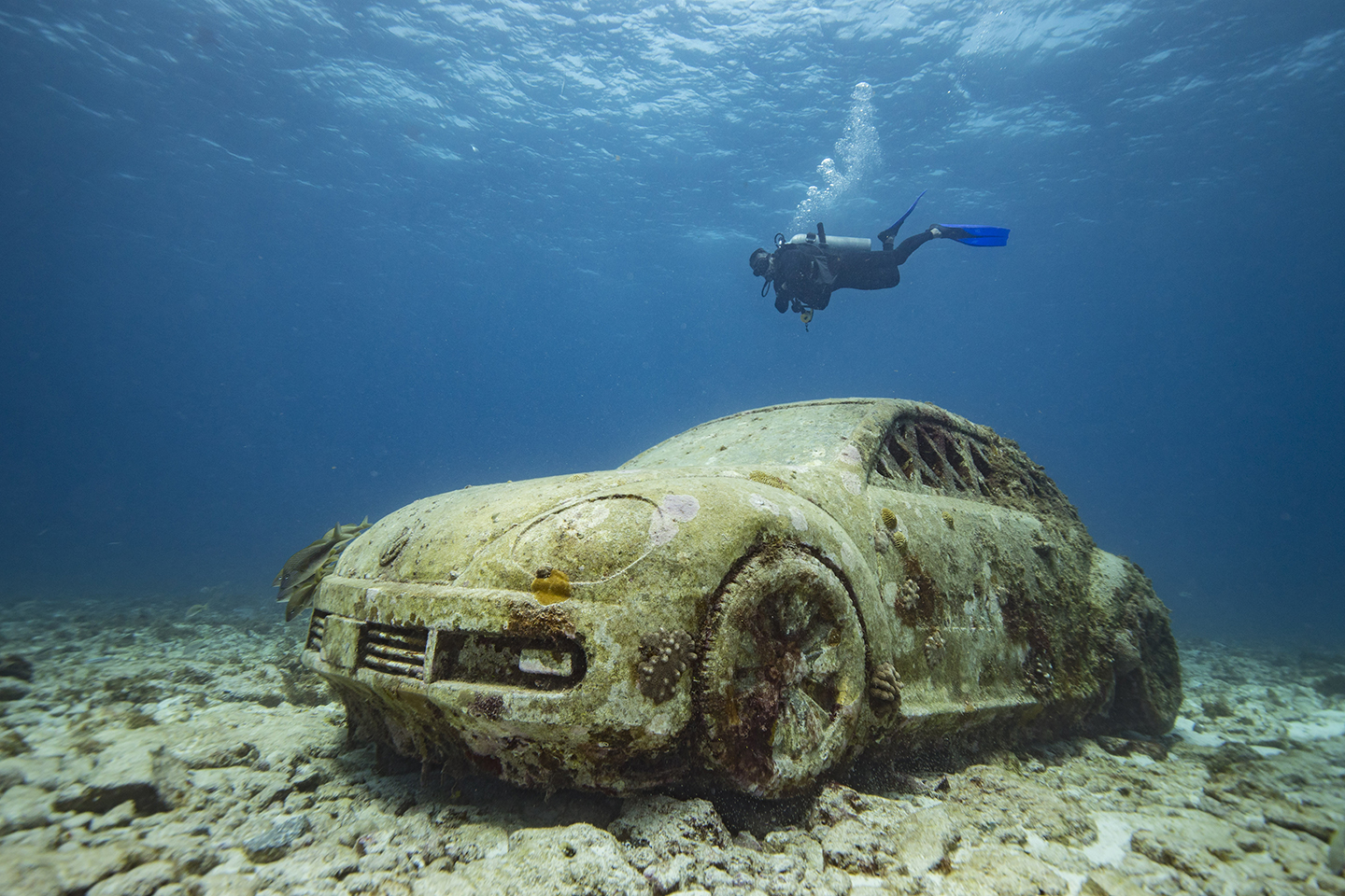underwater wonder